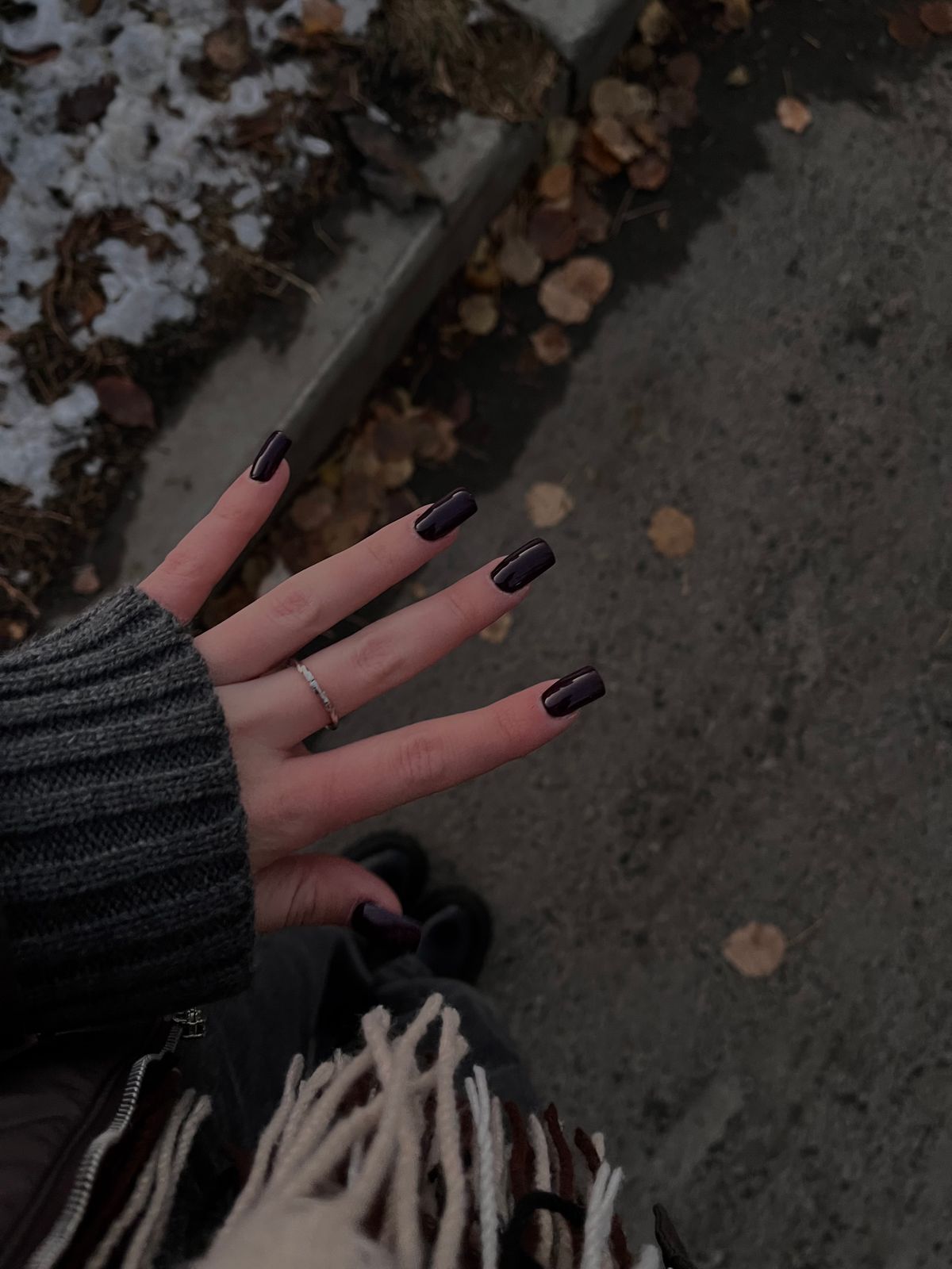Deep aubergine fall nail polish on square nails against autumn leaves
