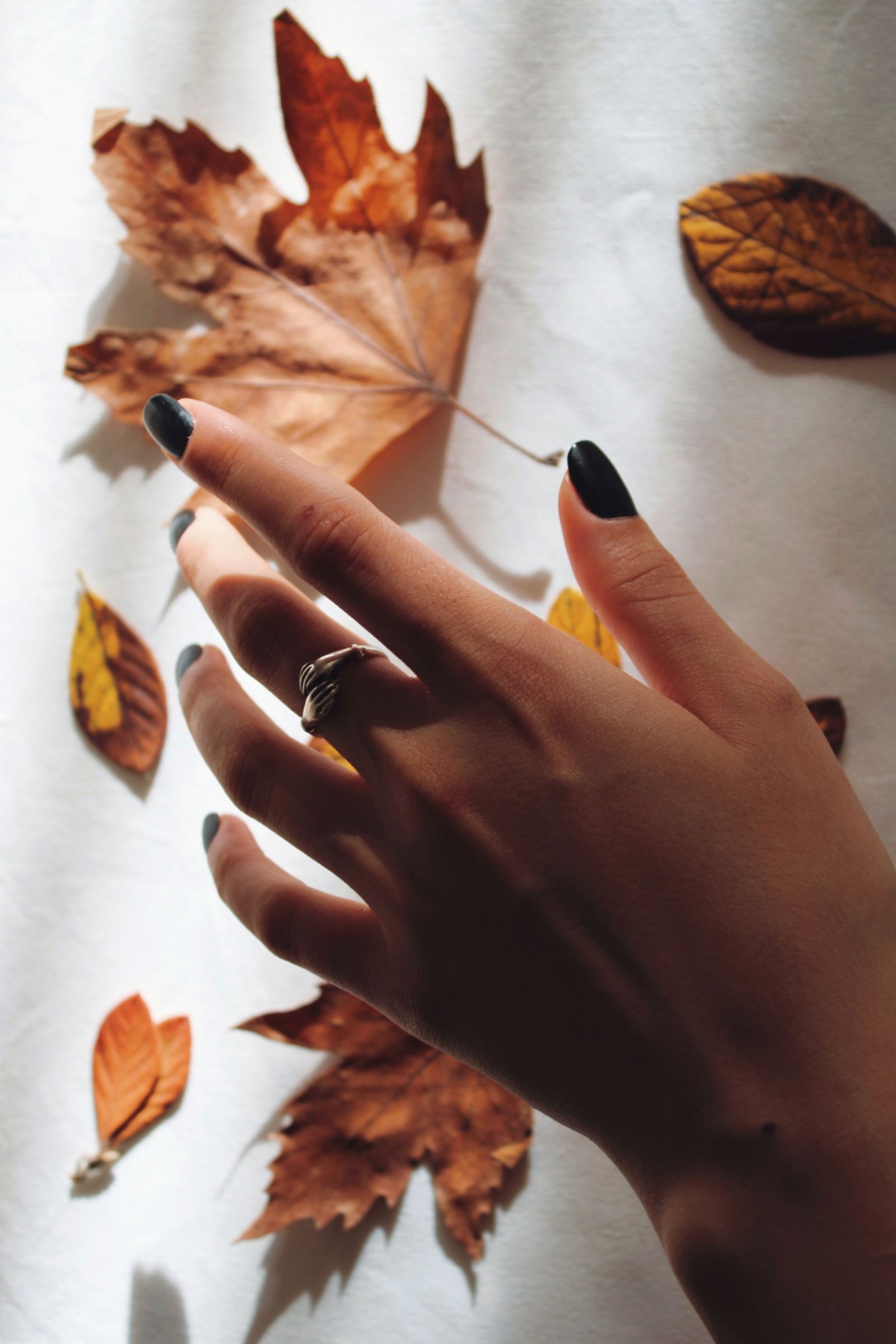 Late September nails 2026: deep near-black manicure against fallen autumn leaves